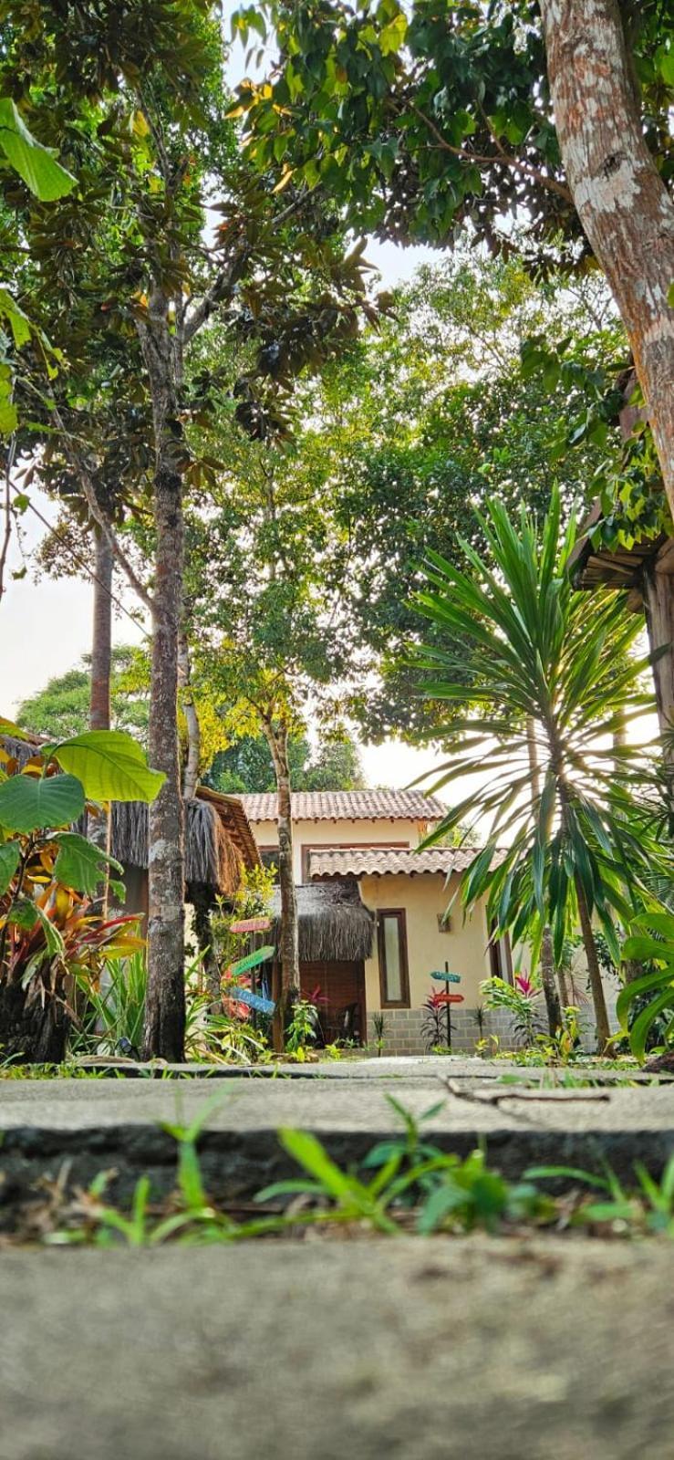Bed & Breakfast 4 Elementos *